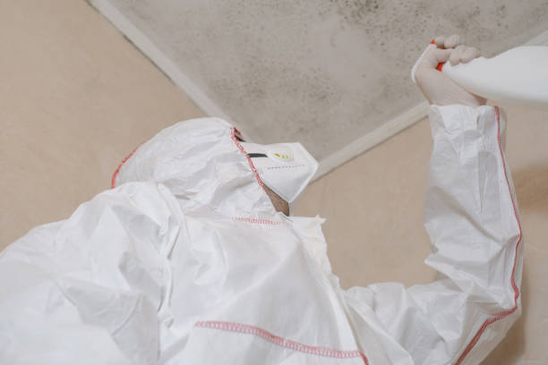 Asbestos and Lead Testing During Mold Inspection in Pflugerville, TX